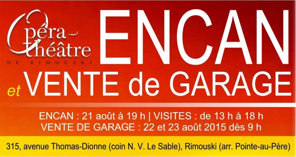 ENCAN - VENTE DE GARAGE 2015 (5)